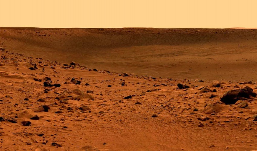 Resilience of Hitchhiking Bacteria in Simulated Martian Conditions