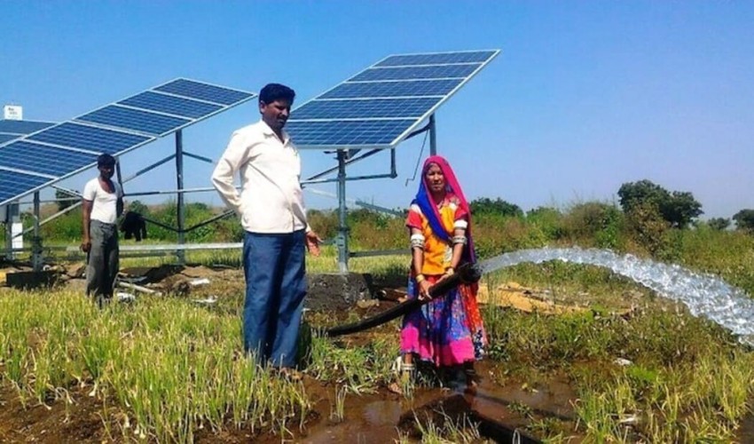 Trees and solar panels are helping Indian farmers reduce their carbon impact.