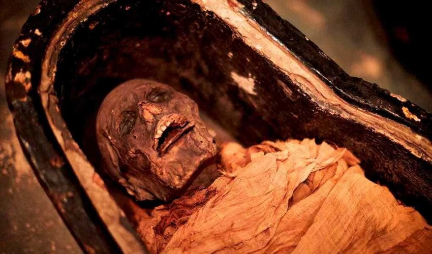 The art and science of mummification: taking care of your mummies