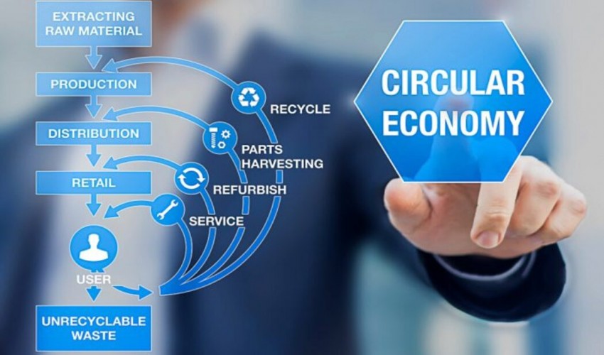 New study shows that businesses that embrace the circular economy are more likely to have a positive impact on the environment.