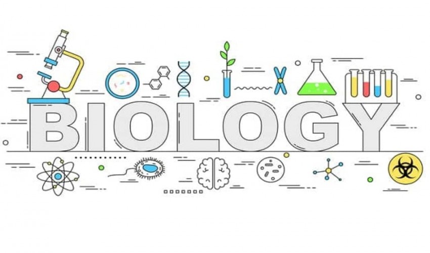 The Most Valuable Biology Project Ideas