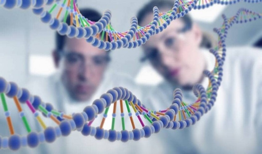 Abortion, Human cloning, and Genetic Studies topics in biology