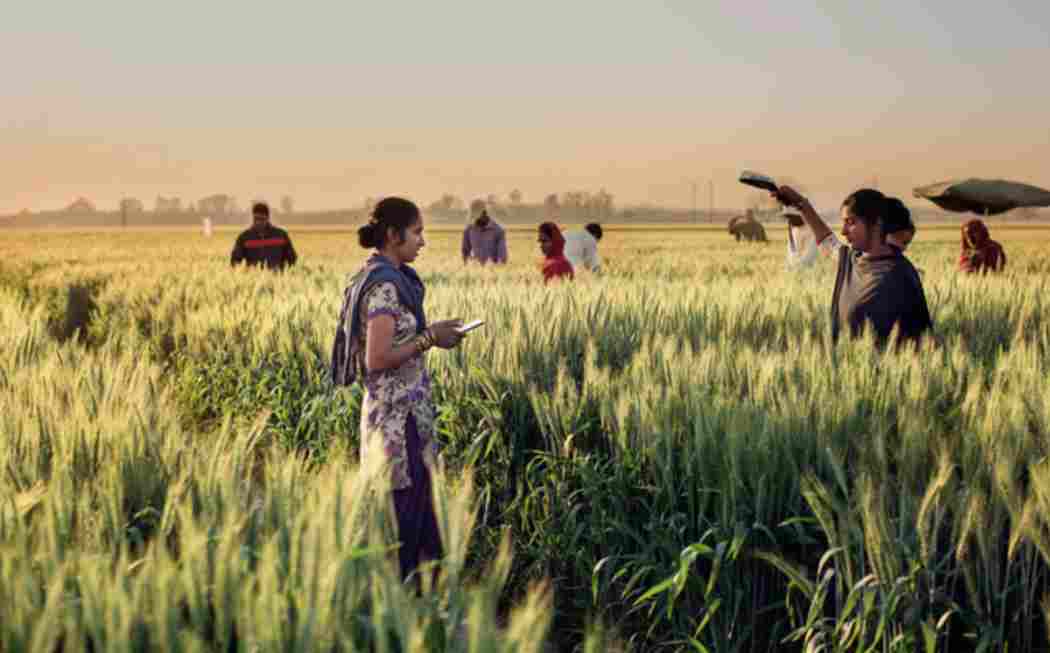 Agromy Research Topics in Agronomy