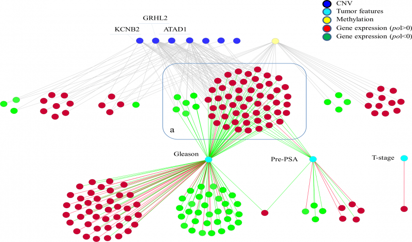 Computational and Systems Biology